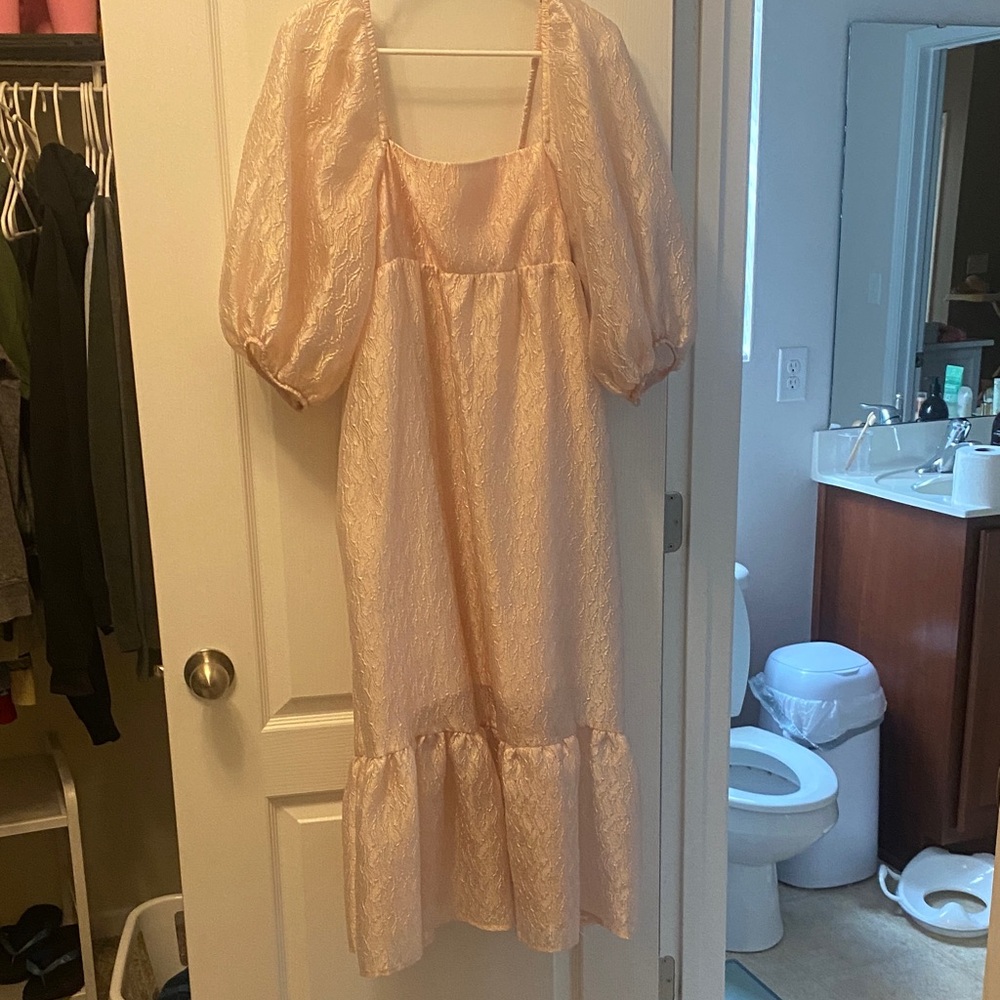 Anthropologie Puff Sleeve Midi Dress in Pale Blush